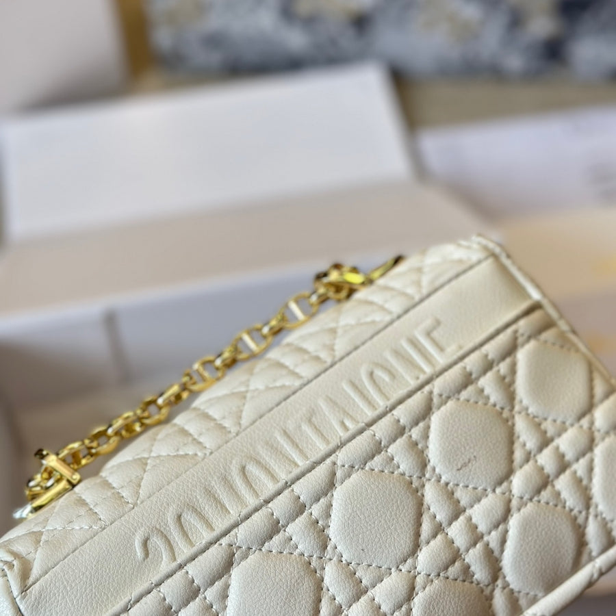 Fashion CD Crossbody Bag