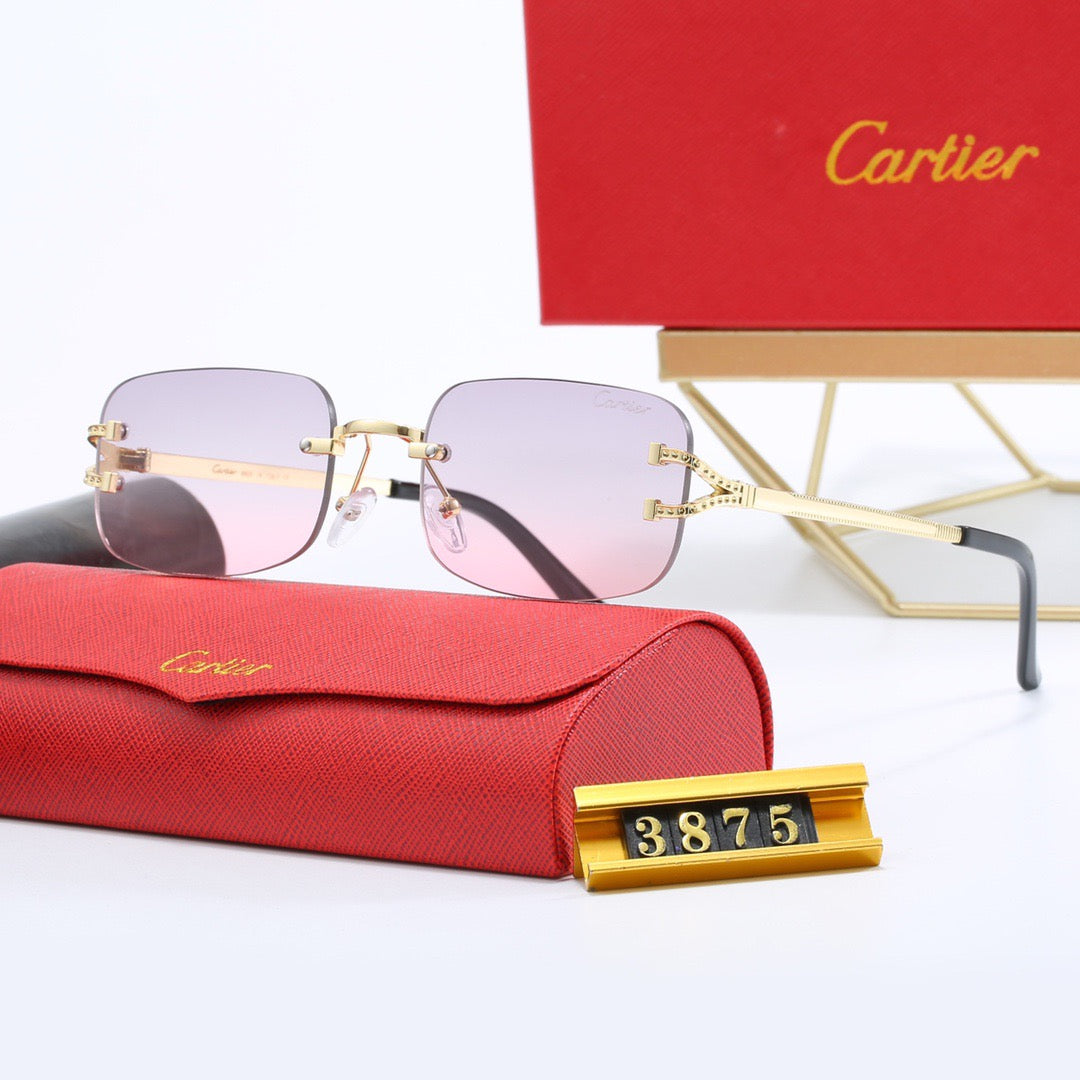 5-color fashionable CAR letter sunglasses